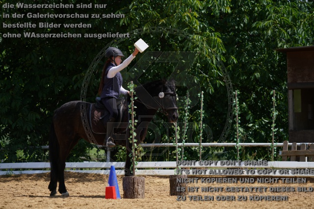 s_K3F05963.JPG